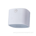 Ceiling Scent Diffuser With Remote Control